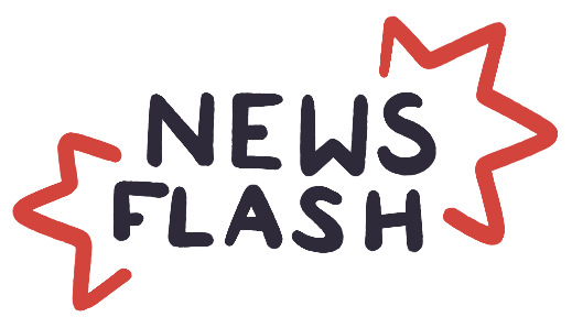 Newsflash Magasine logo